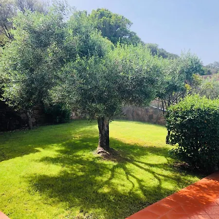 וילה Capo Coda Cavallo Piscina Privata